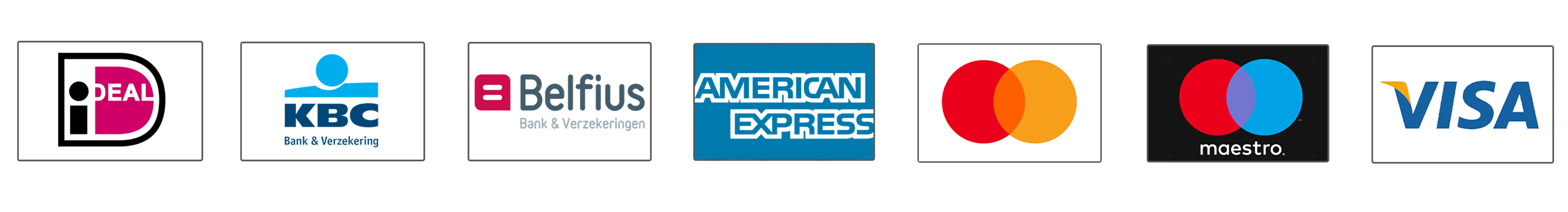 Payment Logo